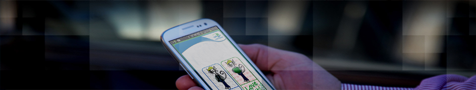 Mobile Application Mobile Application